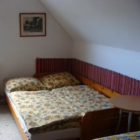 Andras Nadfedeles Vendeghaz Guest house 2*